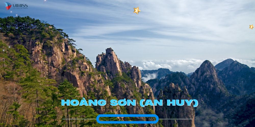 /upload/image/Hoa%CC%80ng%20So%CC%9Bn%20(An%20Huy).jpg