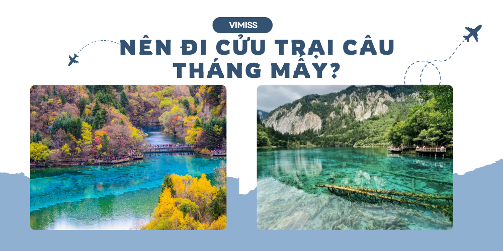 /upload/image/Ne%CC%82n%20di%20Cu%CC%9B%CC%89u%20Tra%CC%A3i%20Ca%CC%82u%20tha%CC%81ng%20ma%CC%82%CC%81y%20.png