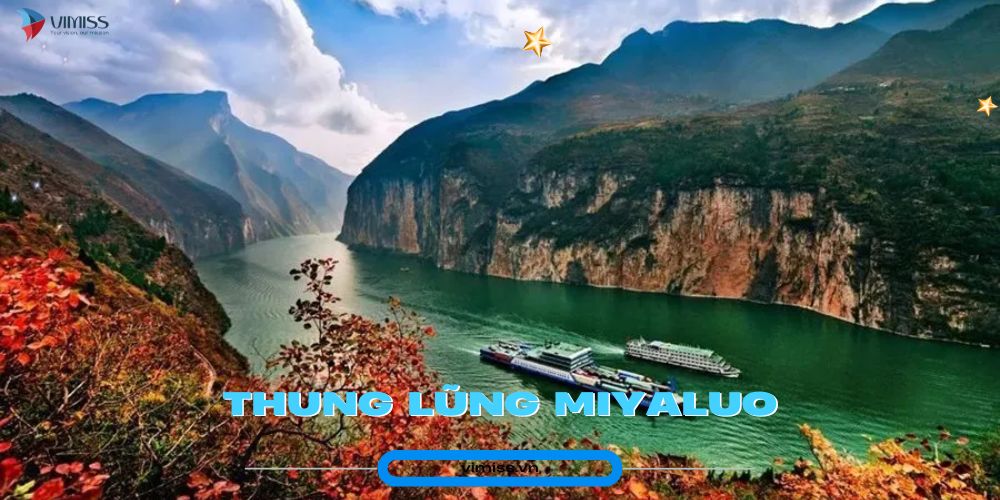 /upload/image/Thung%20lu%CC%83ng%20Miyaluo%20.jpg