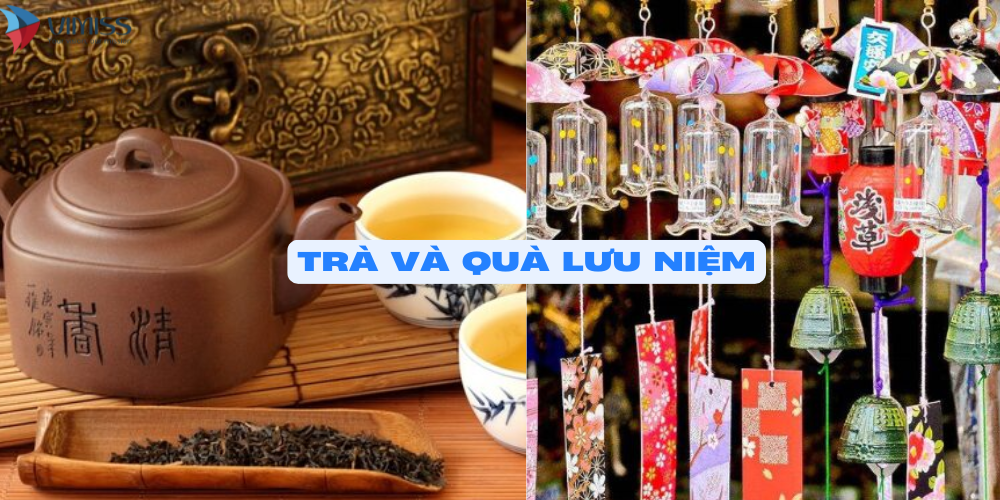 /upload/image/Tra%CC%80%20va%CC%80%20Qua%CC%80%20lu%CC%9Bu%20nie%CC%A3%CC%82m.png
