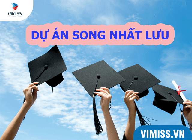 Dự án Song nhất lưu là gì?