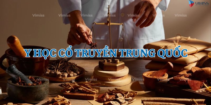 Du học Trung Quốc ngành Y học cổ truyền